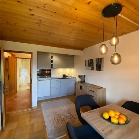 Les Hivernants - Eg Links Appartement-fewo- Dusche Oder Bad- Wc- 1 Schlafraum By Interhome شقة Hornkessel